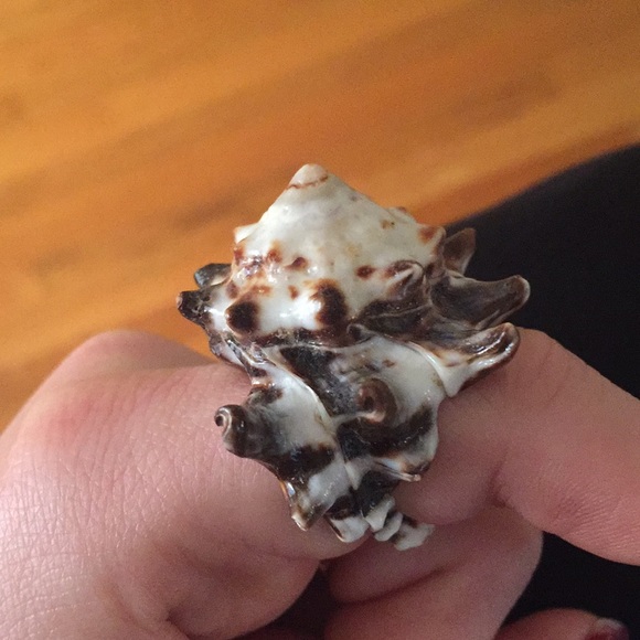 Real shell ring - Picture 2 of 2